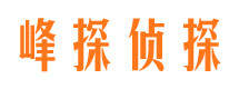 兴县市婚外情调查